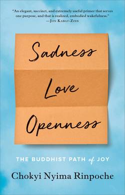 Sadness, love, openness - the buddhist path of joy