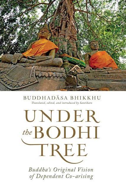 Under the bodhi tree - buddhas original vision of dependent co-arising