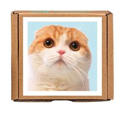 Waffles The Cat Greengift-Notes