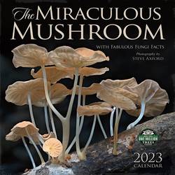 Miraculous Mushroom 2023 Calendar