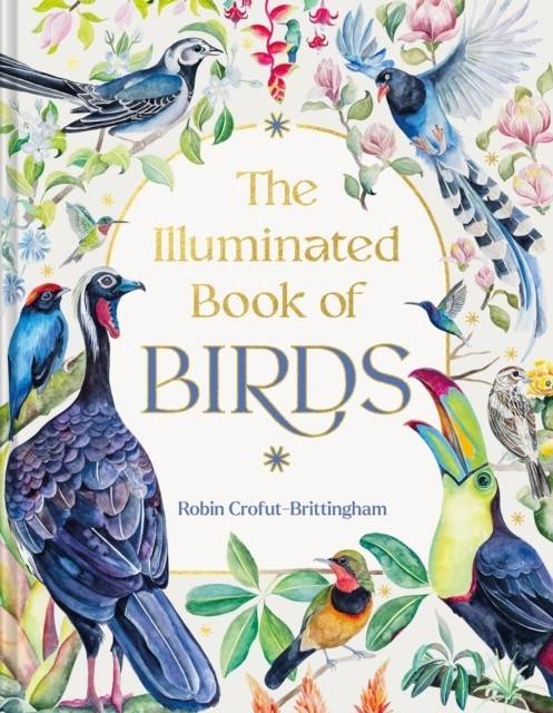 The Illuminated Book of Birds