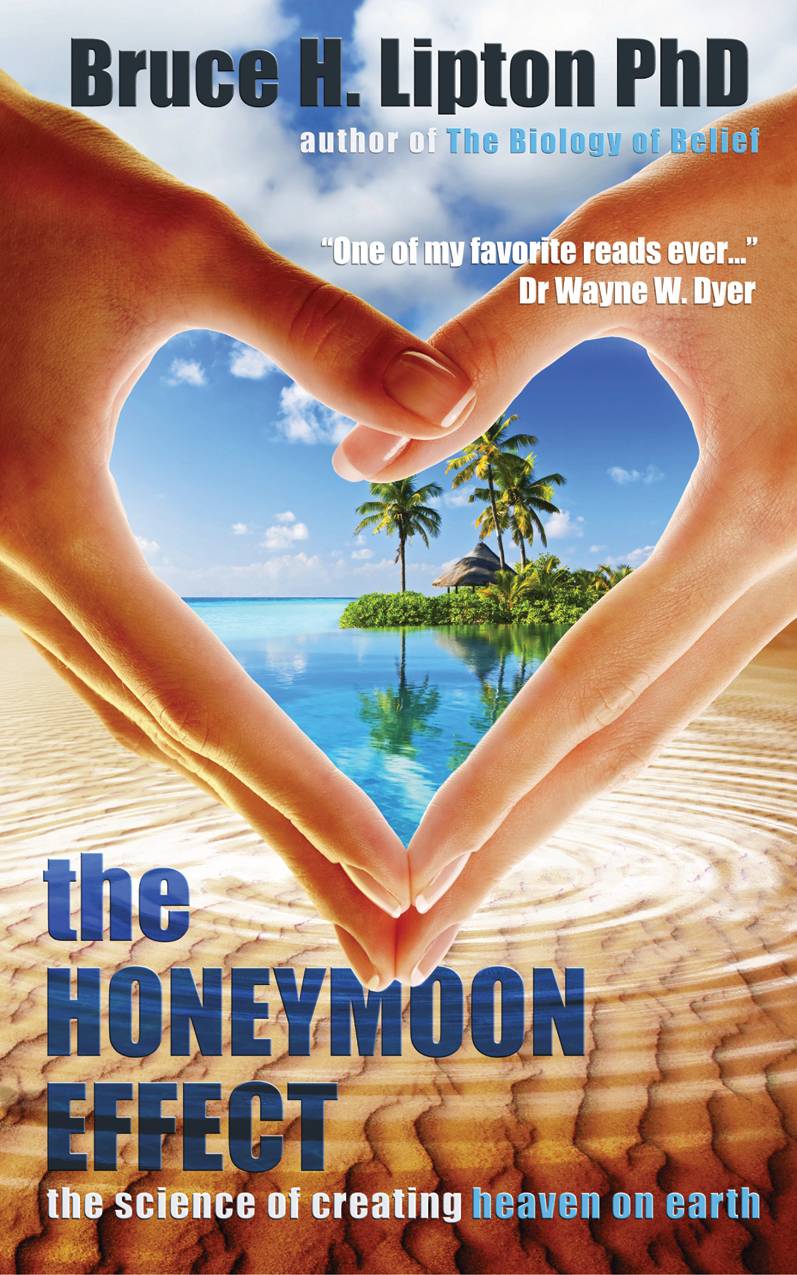 The Honeymoon Effect : The Science of Creating Heaven on Earth