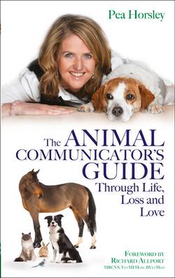 Animal communicators guide through life, loss and love