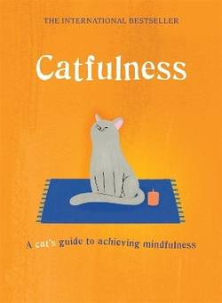Catfulness - a cats guide to achieving mindfulness