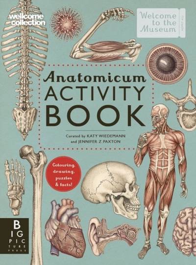 Anatomicum Activity