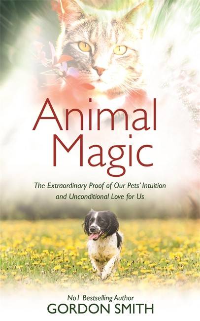 Animal magic - the extraordinary proof of our pets intuition and unconditio