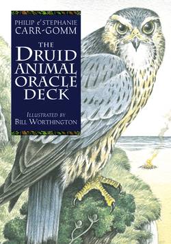 Druid Animal Oracle Deck Reissue