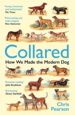 Collared