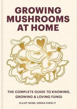 Growing Mushrooms at Home