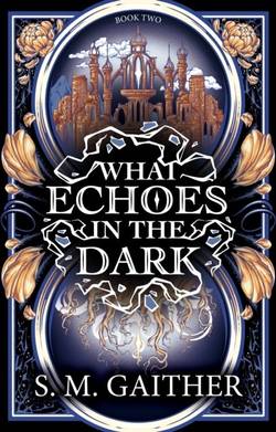 What Echoes in the Dark