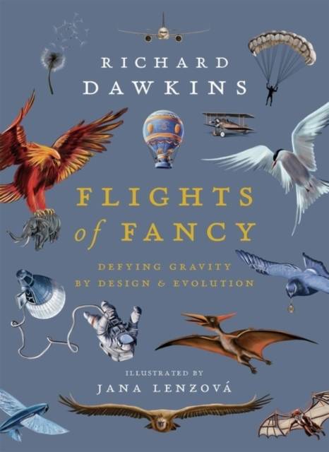 Flights of Fancy - Defying Gravity by Design and Evolution