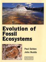 Evolution of fossil ecosystems