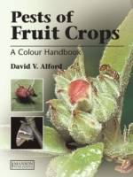 Pests of fruit crops