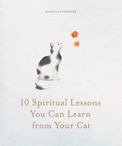 10 Spiritual Lessons You Can Learn from Your Cat