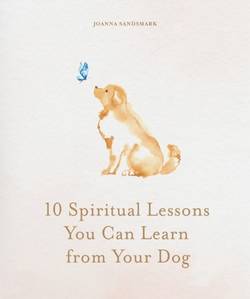 10 Spiritual Lessons You Can Learn from Your Dog
