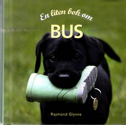 En liten bok om bus