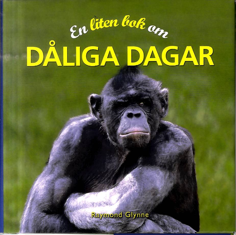 En liten bok om dåliga dagar