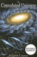 Convoluted universe: book two