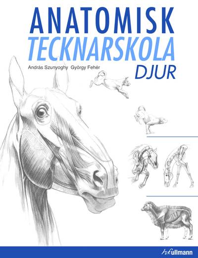 Anatomisk tecknarskola : djur