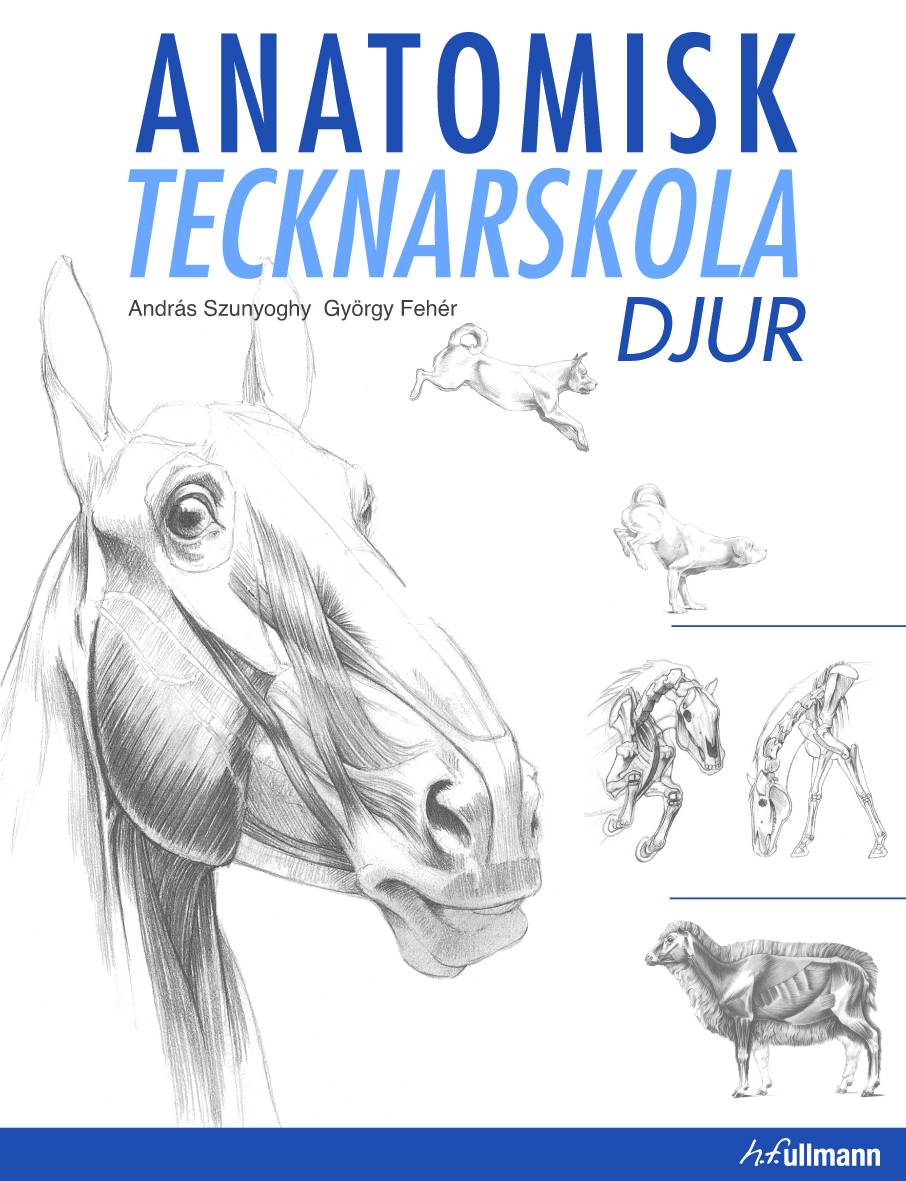 Anatomisk tecknarskola : djur