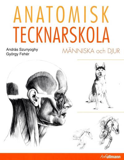 Anatomisk tecknarskola : människa och djur