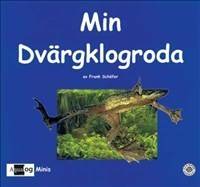 Min dvärgklogroda