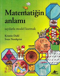 Matematiğin Anlamı: Sayılarla Model Kurmak