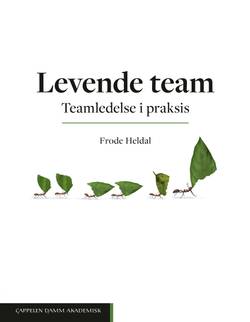 Levende team : teamledelse i praksis