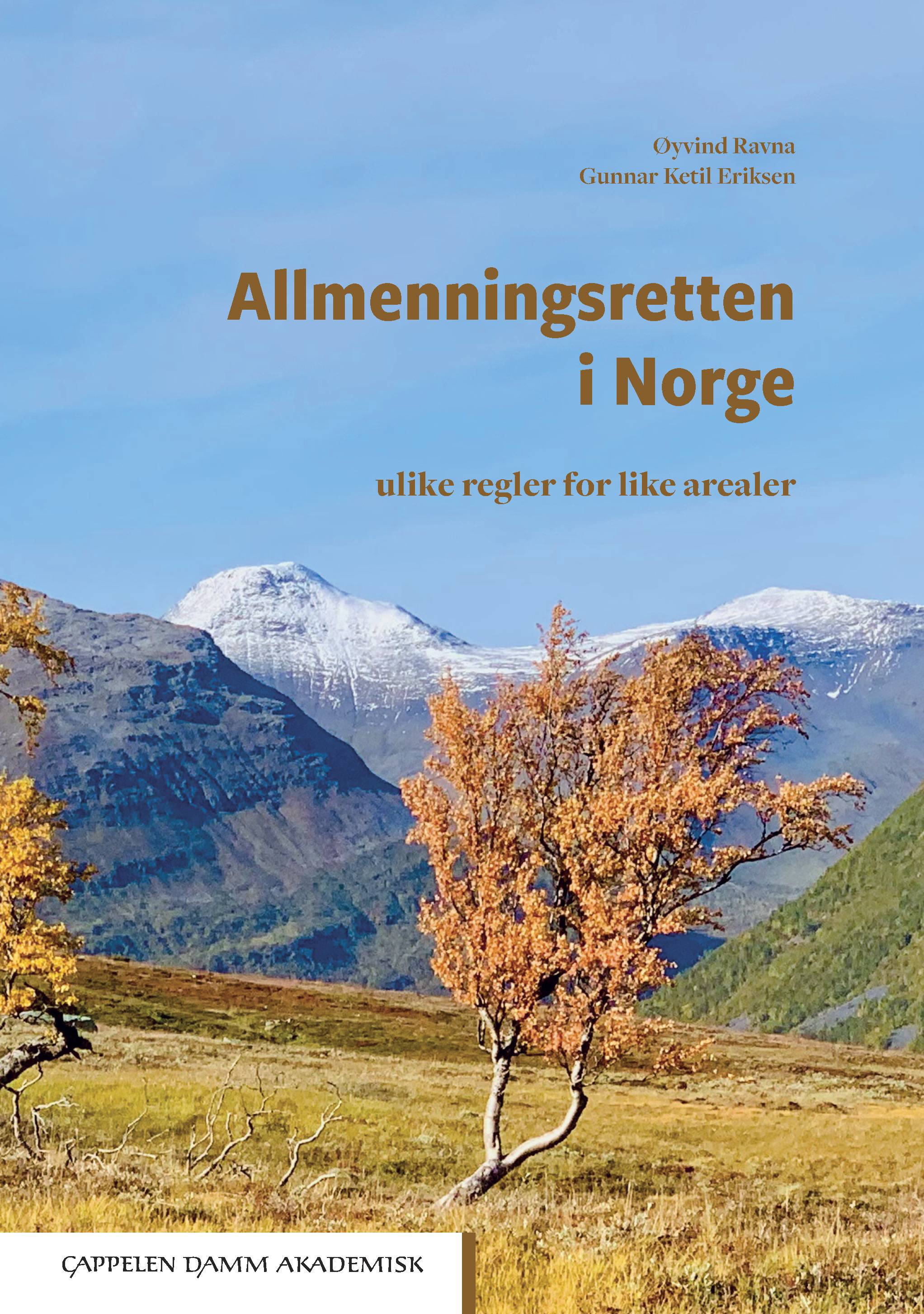 Allmenningsretten i Norge : ulike regler for like arealer