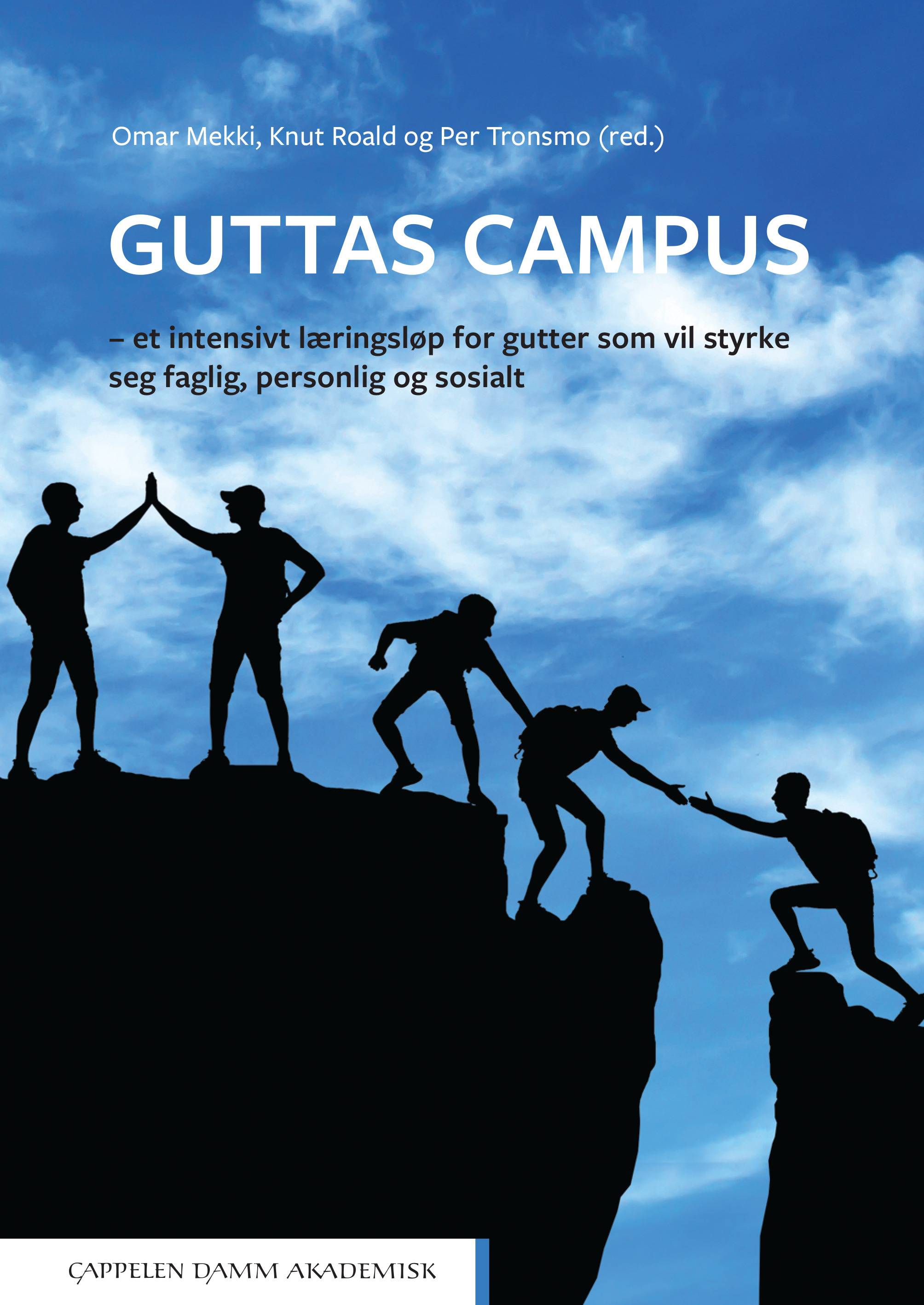 Guttas Campus : et intensivt læringsløp for gutter som vil styrke seg faglig, personlig og sosialt