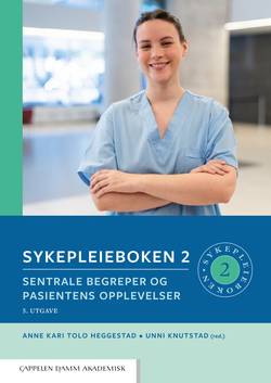 Sykepleieboken 2 : sentrale begreper og pasientens opplevelser