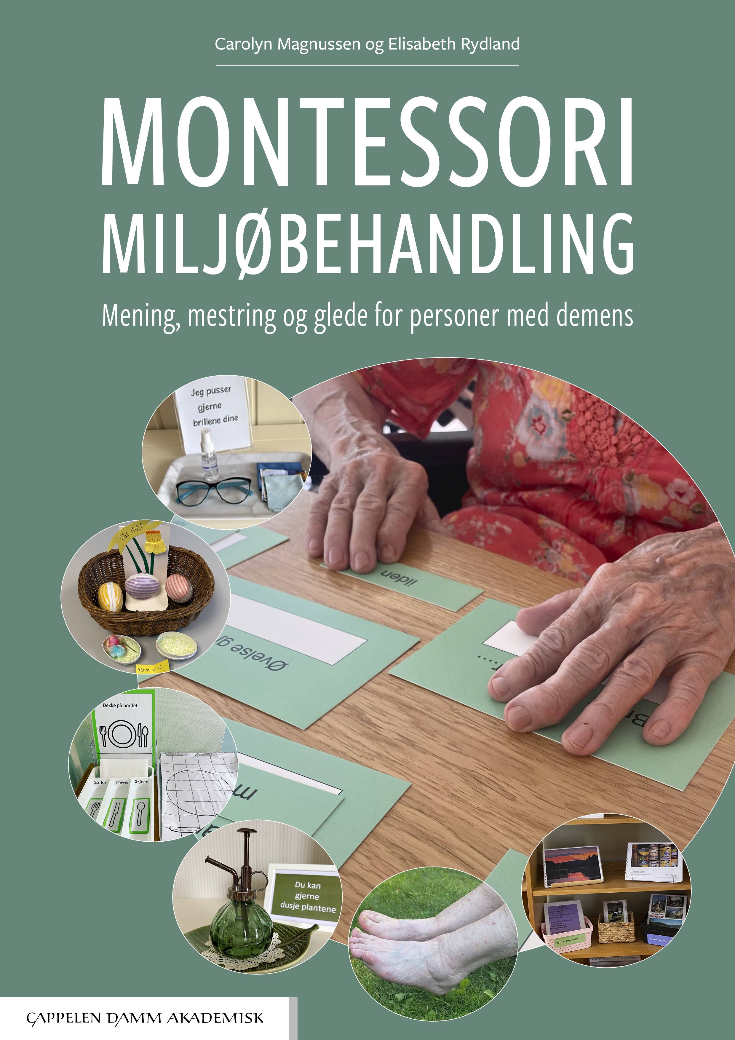 Montesorri miljøbehandling - Mening, mestring og glede for pasienter med demens