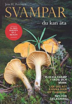 Svampar : du kan äta