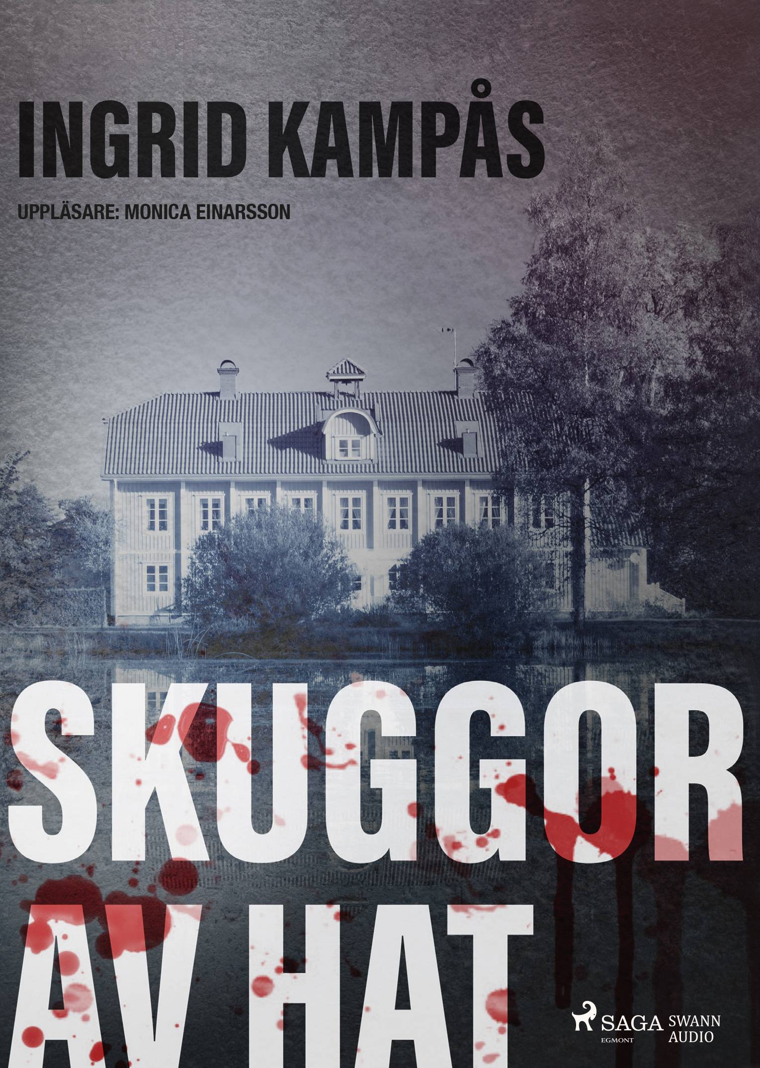 Skuggor av hat