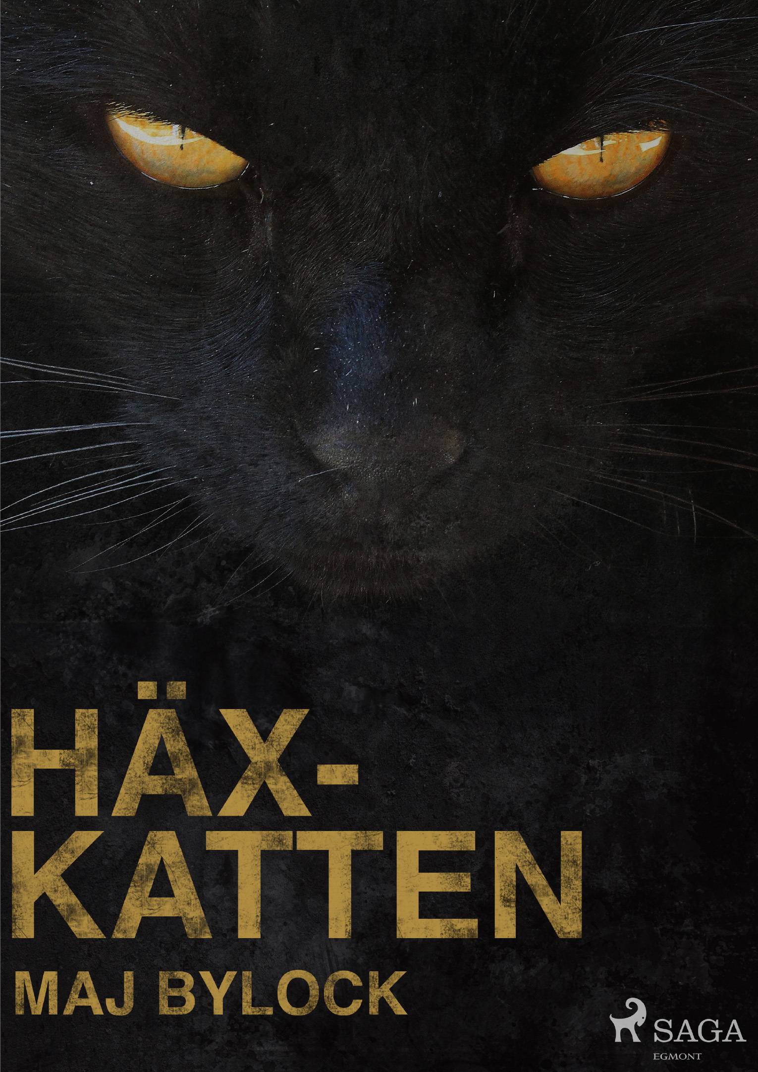 Häxkatten