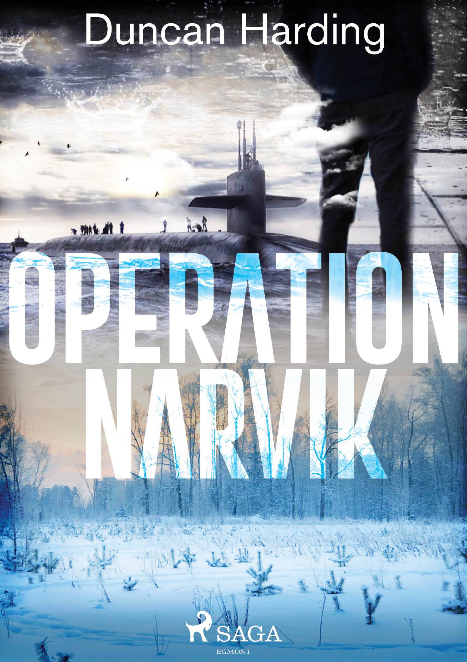 Operation Narvik