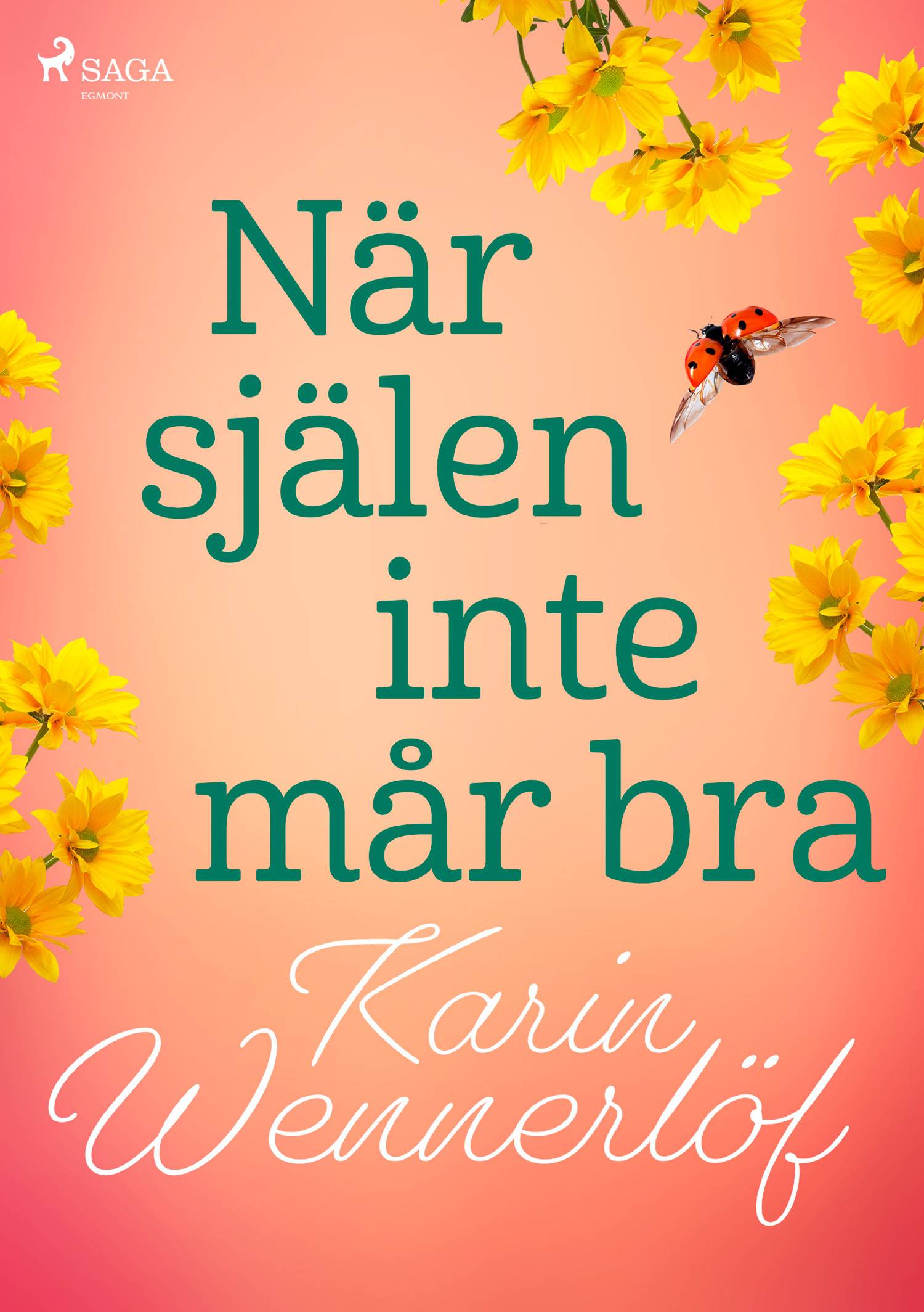 När själen inte mår bra : en bok om hur du kan må så mycket bättre!