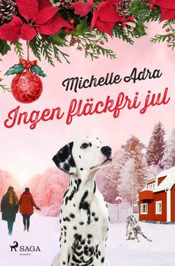 Ingen fläckfri jul