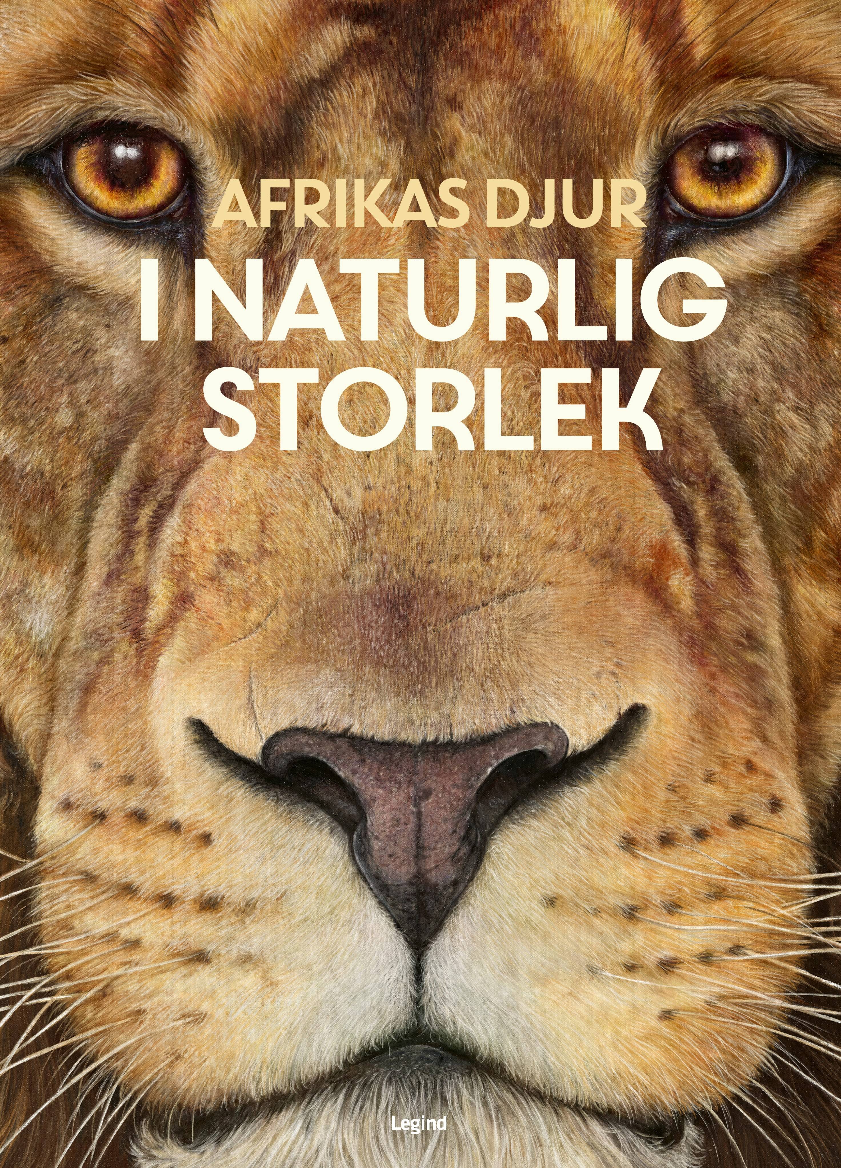 Afrikas djur : i naturlig storlek