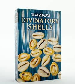 Divination Shells