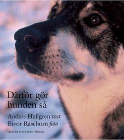 Därför gör hunden så