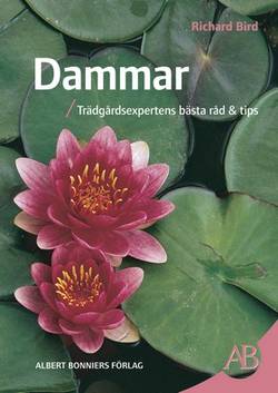 Dammar : trädgårdsexpertens bästa råd & tips