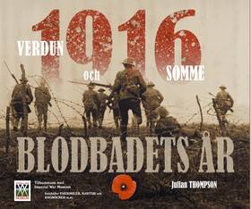 1916 blodbadets år : Verdun och Somme