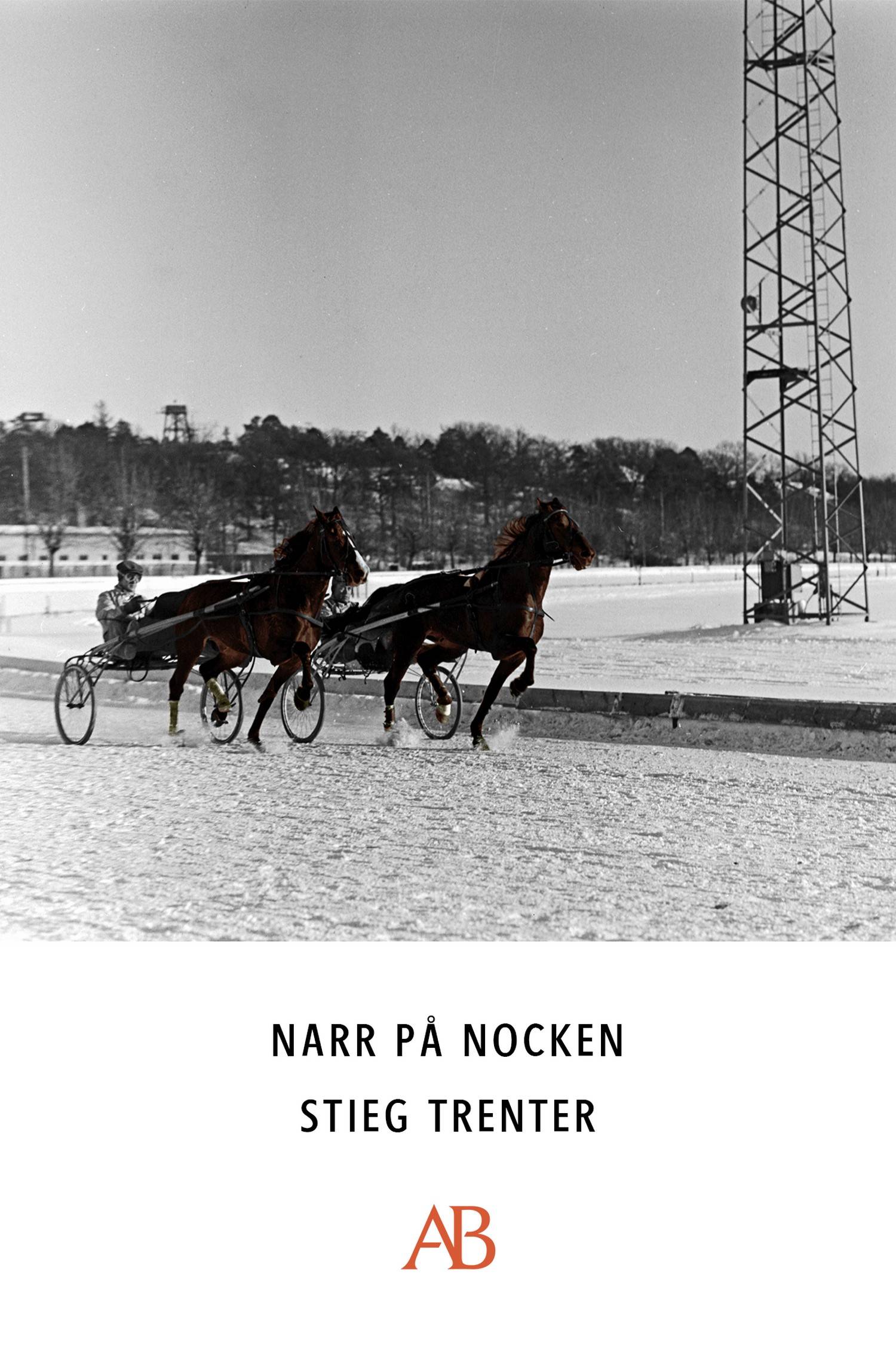 Narr på nocken