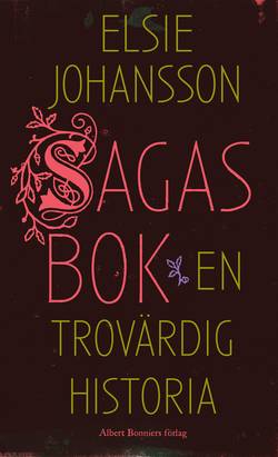 Sagas bok : en trovärdig historia