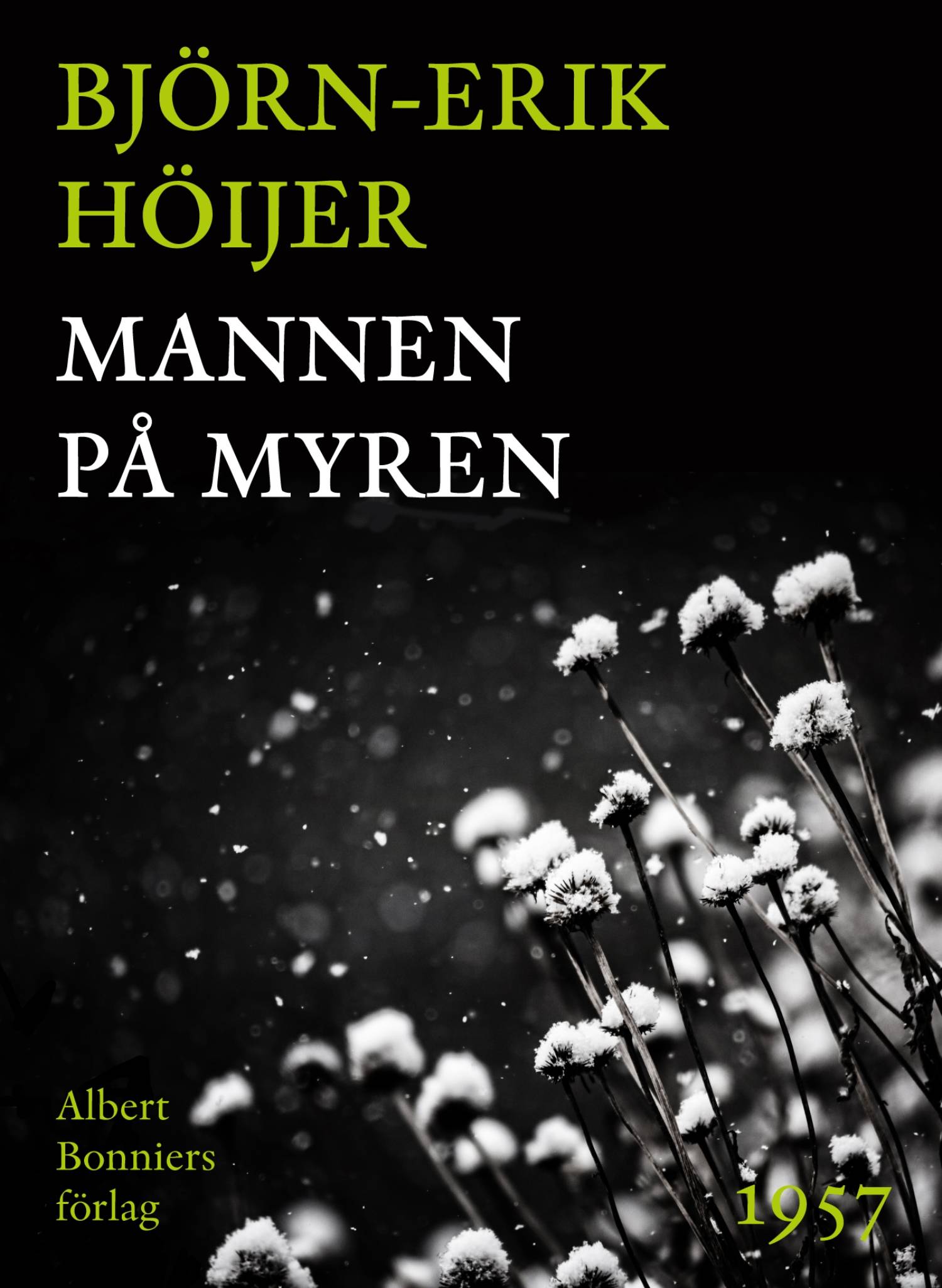 Mannen på myren