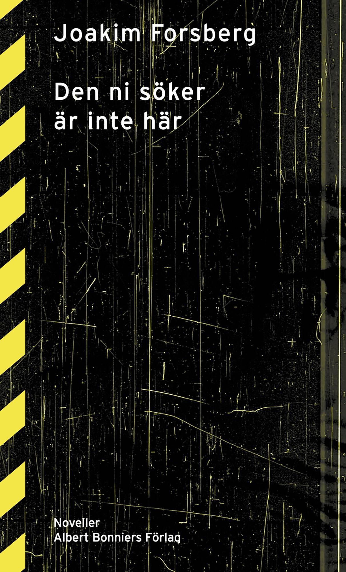 Den ni söker är inte här : Noveller