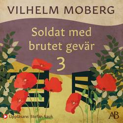 Soldat med brutet gevär 3 : Sanningens kunskap: 1915-1918