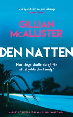 Den natten