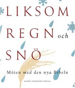 Liksom regn och snö : möten med den nya Bibeln